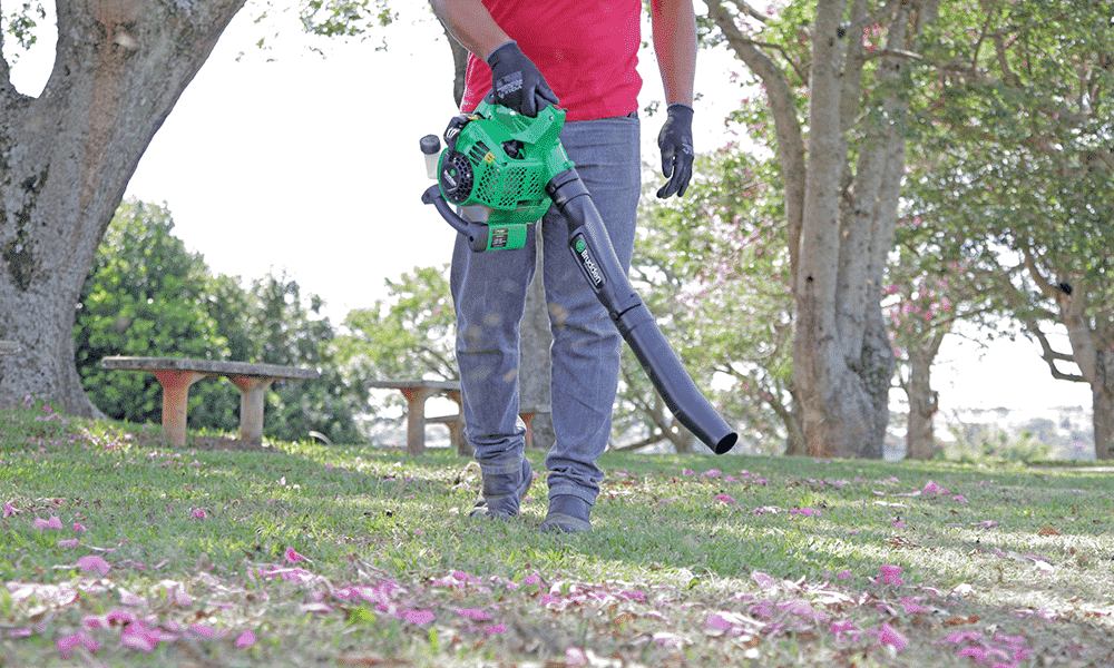 Soplador EB-260F - Image 2