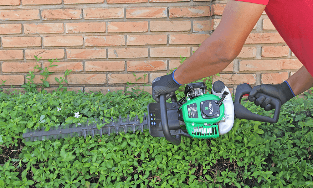 Cortasetos BCV-260 - Image 4