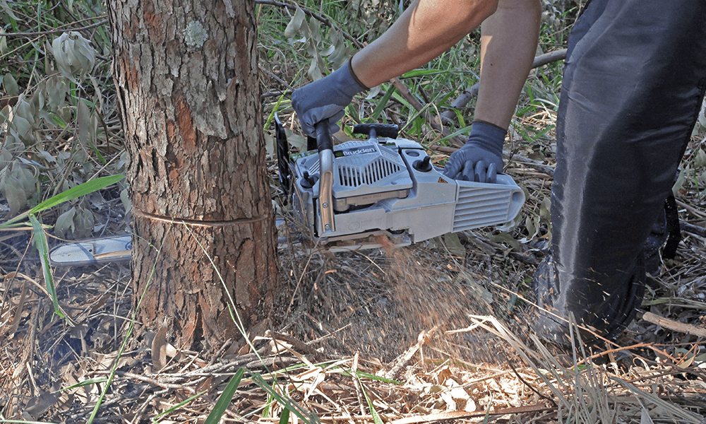Motosierra MB-620 - Image 3